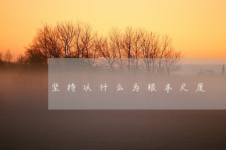 坚持以什么为根本尺度 坚持以什么为根本尺度