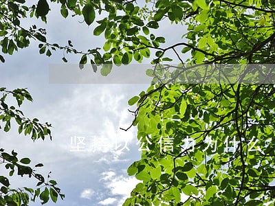 坚持以公信力为什么 坚持以公信力为什么