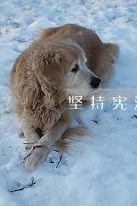 坚持宪法至上单元测试及参考答案 坚持宪法至上单元测试及参考答案
