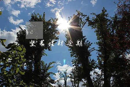 坚果理财逾期 坚果理财逾期