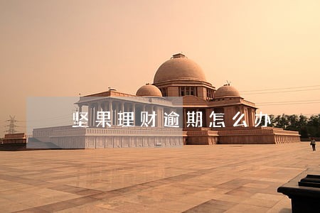 坚果理财逾期怎么办 坚果理财逾期怎么办