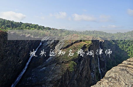 坡头区知名婚姻律师