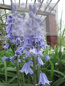坡头法律援助 坡头法律援助