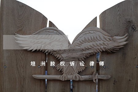 坦洲股权诉讼律师 坦洲股权诉讼律师