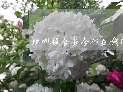 坦洲镇合资合作在线律师 坦洲镇合资合作在线律师