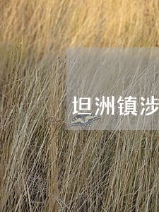 坦洲镇涉外仲裁律师在线免费咨询 坦洲镇涉外仲裁律师在线免费咨询