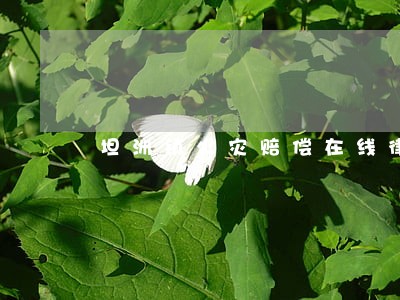 坦洲镇火灾赔偿在线律师 坦洲镇火灾赔偿在线律师
