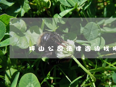 坪山公司法律咨询找哪家 坪山公司法律咨询找哪家