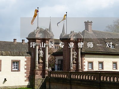 坪山区专业律师一对一 坪山区专业律师一对一