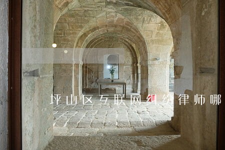 坪山区互联网纠纷律师哪家强 坪山区互联网纠纷律师哪家强