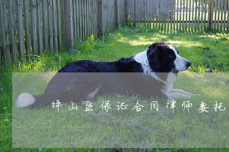 坪山区保证合同律师委托流程 坪山区保证合同律师委托流程