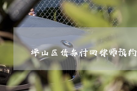 坪山区债务讨回律师预约电话 坪山区债务讨回律师预约电话