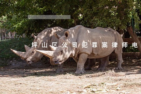 坪山区公司犯罪案律师电话咨询 坪山区公司犯罪案律师电话咨询
