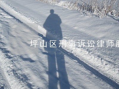 坪山区刑事诉讼律师服务 坪山区刑事诉讼律师服务