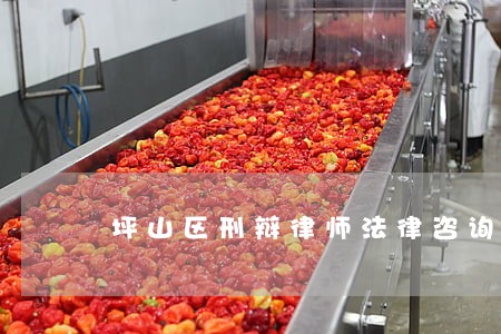 坪山区刑辩律师法律咨询 坪山区刑辩律师法律咨询