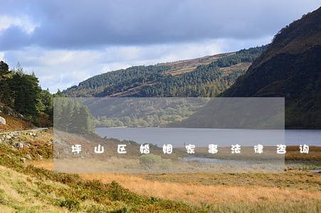 坪山区婚姻家事法律咨询 坪山区婚姻家事法律咨询