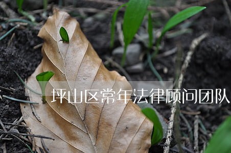 坪山区常年法律顾问团队 坪山区常年法律顾问团队