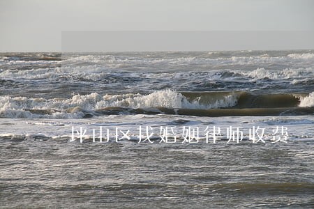 坪山区找婚姻律师收费 坪山区找婚姻律师收费