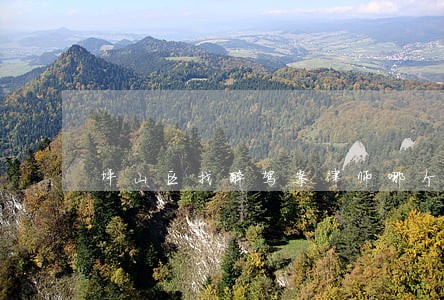 坪山区找醉驾案律师哪个好 坪山区找醉驾案律师哪个好