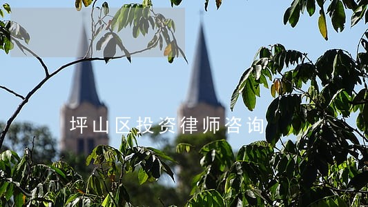 坪山区投资律师咨询 坪山区投资律师咨询