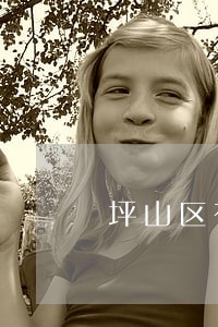 坪山区有名的民事债务律师 坪山区有名的民事债务律师