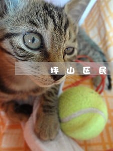 坪山区民事债务律师在线免费咨询 坪山区民事债务律师在线免费咨询