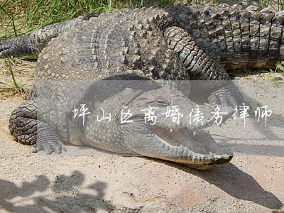 坪山区离婚债务律师 坪山区离婚债务律师