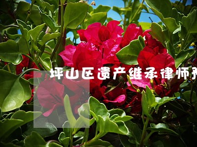坪山区遗产继承律师预约电话 坪山区遗产继承律师预约电话