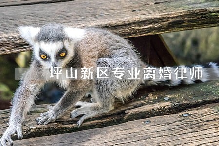坪山新区专业离婚律师 坪山新区专业离婚律师