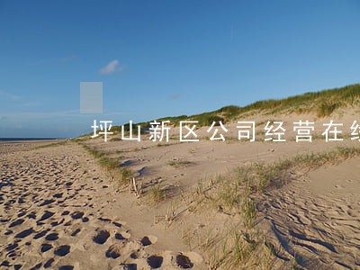 坪山新区公司经营在线律师 坪山新区公司经营在线律师
