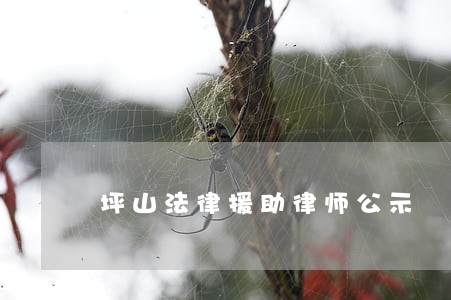 坪山法律援助律师公示