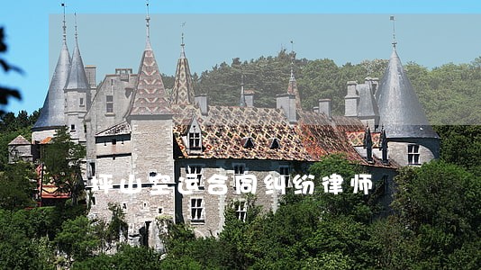 坪山空运合同纠纷律师 坪山空运合同纠纷律师