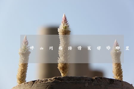 坪山网络诽谤案律师哪里找 坪山网络诽谤案律师哪里找