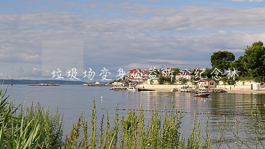 垃圾场变身公益诉讼纪念林 垃圾场变身公益诉讼纪念林