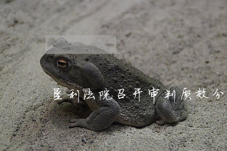 垦利法院召开审判质效分析调度会 垦利法院召开审判质效分析调度会