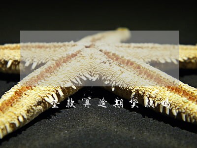 垫款算逾期贷款吗 垫款算逾期贷款吗