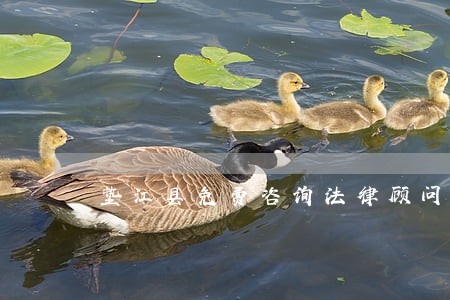 垫江县免费咨询法律顾问 垫江县免费咨询法律顾问