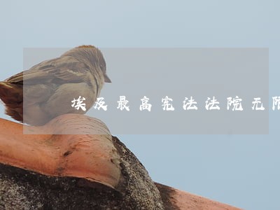 埃及最高宪法法院无限期停工 埃及最高宪法法院无限期停工