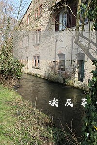 埃及革命后的宪法修改 埃及革命后的宪法修改