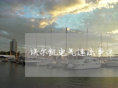 埃尔凯电气违法事件 埃尔凯电气违法事件