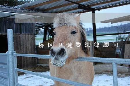 埇桥区卫健委法律顾问 埇桥区卫健委法律顾问