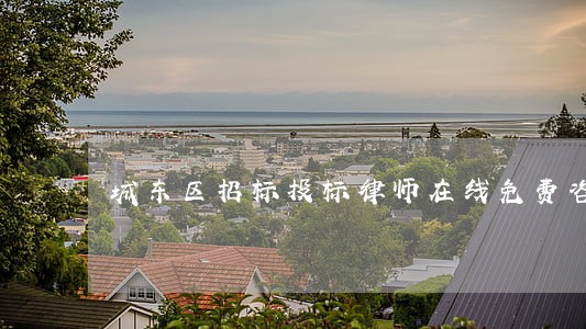 城东区招标投标律师在线免费咨询 城东区招标投标律师在线免费咨询