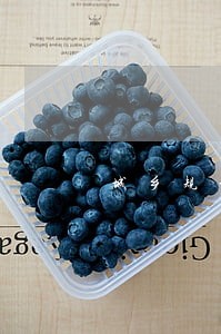 城乡规划原理和法规哪个难