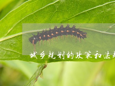 城乡规划的政策和法规 城乡规划的政策和法规