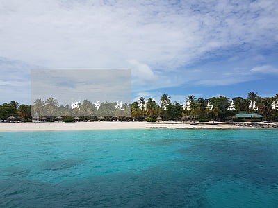 城乡规划管理与法规的知识点总结 城乡规划管理与法规的知识点总结