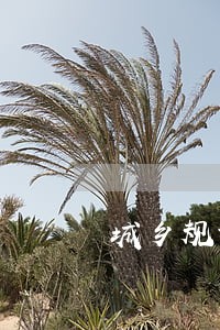 城乡规划管理与法规课后答案 城乡规划管理与法规课后答案