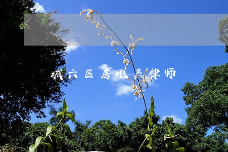 城六区房地产律师 城六区房地产律师