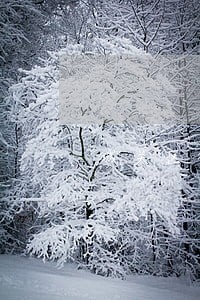 城关区律师咨询热线 城关区律师咨询热线