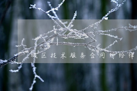 城区技术服务合同纠纷律师 城区技术服务合同纠纷律师