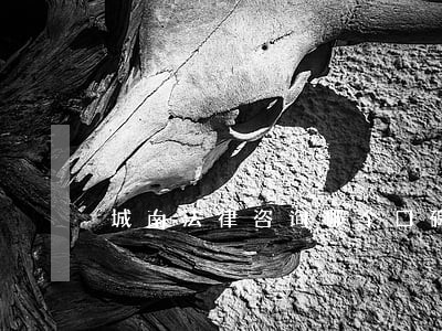 城南法律咨询哪个口碑好 城南法律咨询哪个口碑好